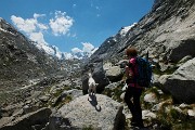 44 Risalendo la lunga valle glaciale del Forno